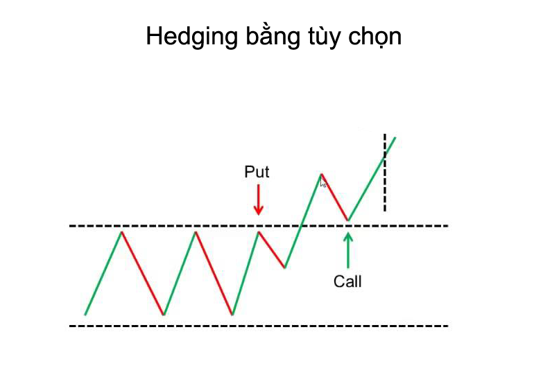 forex hedging 2